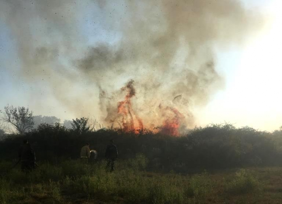 В районе Маяка произошло возгорание пустыря