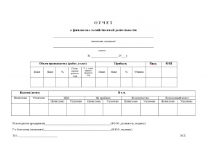 Введен новый бланк отчёта финансово-хозяйственной деятельности для сдачи бухгалтерской отчётности организациями в Администрацию г. Сухум