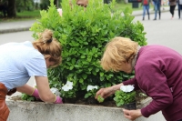 Коммунальные службы высаживают цветы на набережной Махаджиров