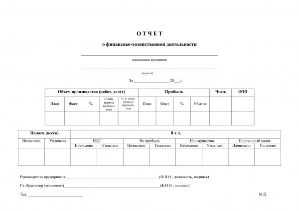 Новый бланк отчёта финансово-хозяйственной деятельности для сдачи бухгалтерской отчётности организациями в Администрацию г. Сухум