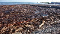 Руслан Авидзба: очистку сухумских пляжей завершат в течение двух дней
