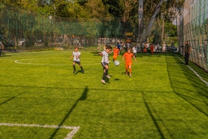 Мини-футбольное поле открыто в парке на улице Дзидзария